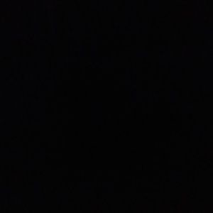 Meet your Posher, Amelia